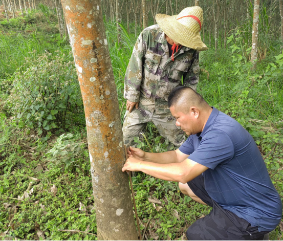 1756432752853075.png image.png