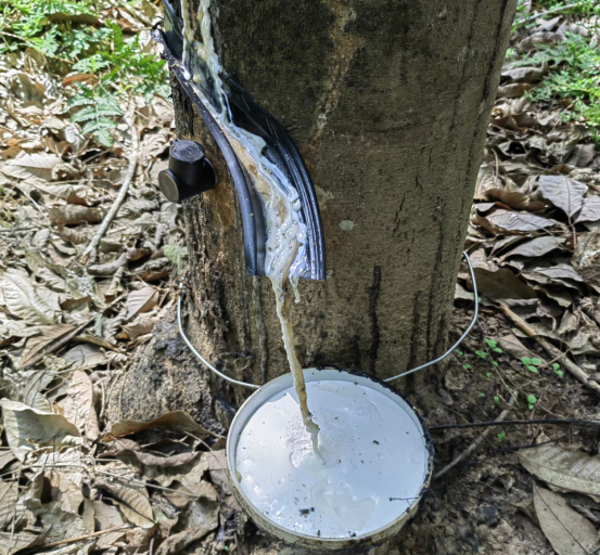 1756432767376746.png image.png