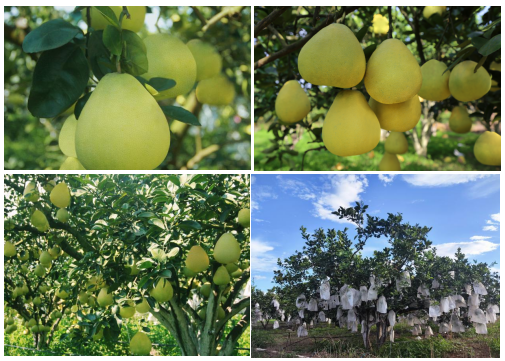 1761271572854416.png image.png