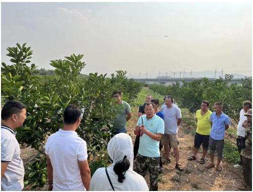 1761271593172974.png image.png