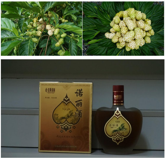 1761894014672168.png image.png