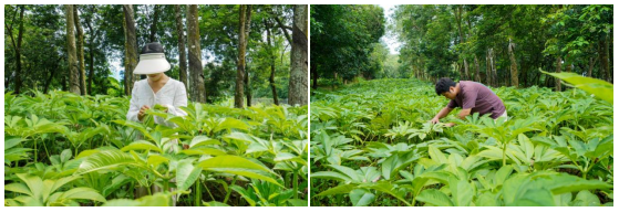 1763085645466620.png image.png